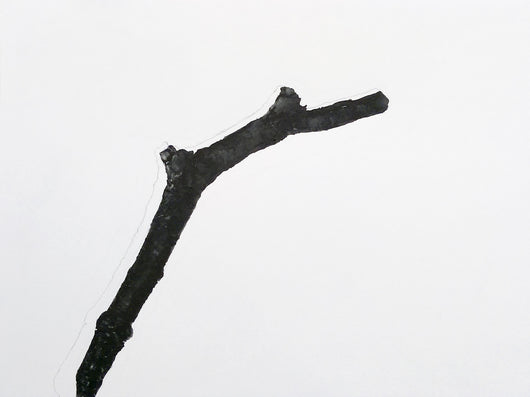 Christopher T Wood, graphite drawing