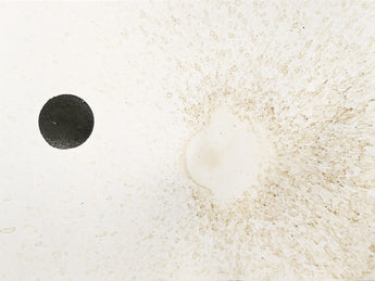 Daydrawing 160204, contemporary art