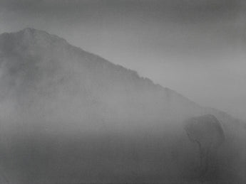 Daydrawing 161130 - Daydrawing Distribution Center