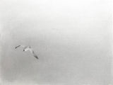 10 Year Triptych 4: April Clouds